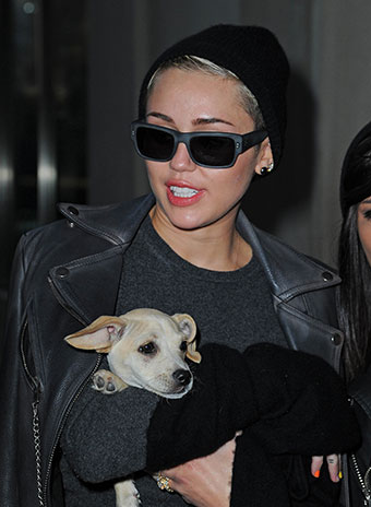 Майли Сайрус