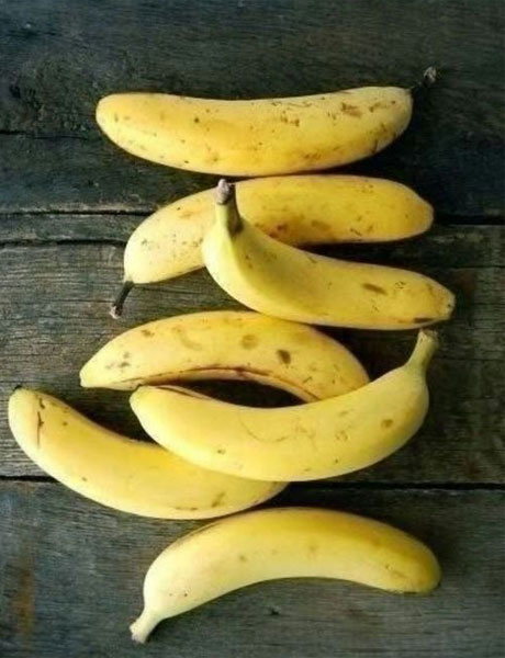 Замена яиц Замена яиц