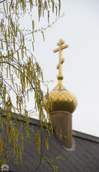 приметы весны в Волгограде