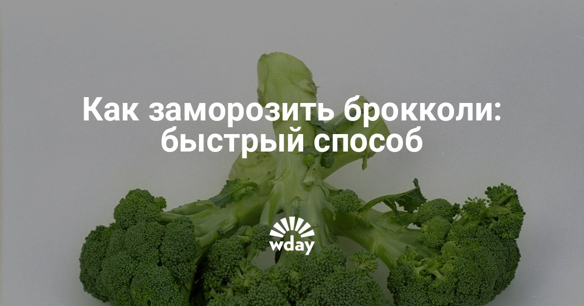 Как заморозить капусту брокколи на зиму в домашних условиях Как заморозить капусту брокколи на зиму в домашних условиях