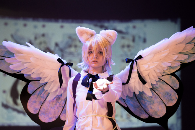 ANIMAU 2014: COMICS