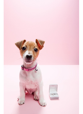 30 самых романтичных фото 