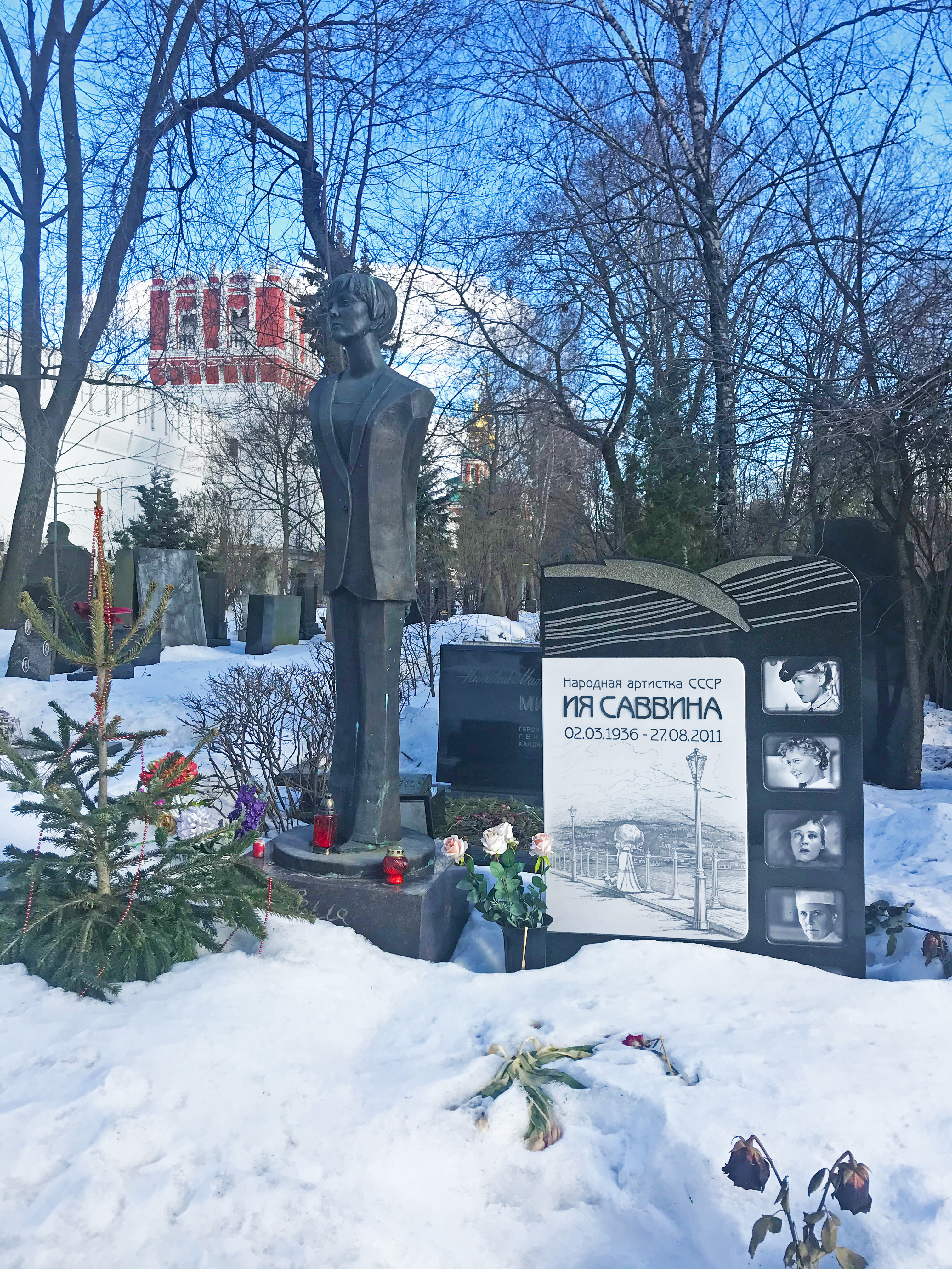 Новодевичье кладбище Никулин