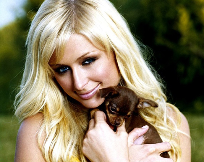 пэрис хилтон 2014