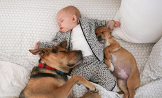 Младенцы и собаки: 20 фото, которые заставят вас улыбнуться
