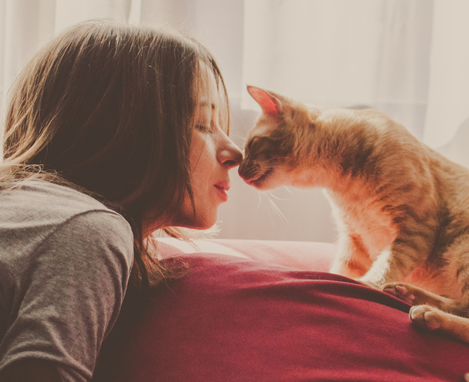 Насморк у кота что делать насморк у кота что делать