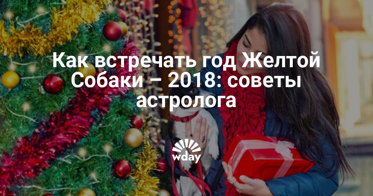 2018 год какого и как встречать 2018 год какого и как встречать