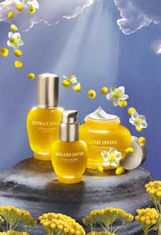 L occitane косметика L occitane косметика