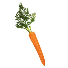 Yes to carrots Yes to carrots