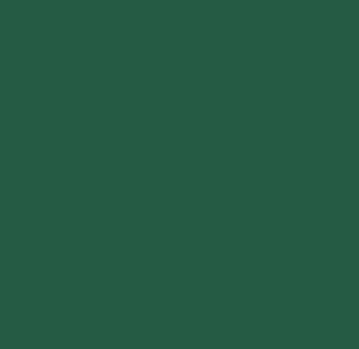 Regent Green, эмульсия, Dulux, «Центр красок», магазины OBI. Regent Green, эмульсия, Dulux, «Центр красок», магазины OBI.
