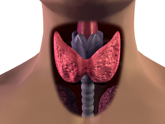 Щитовидная железа и гинекология