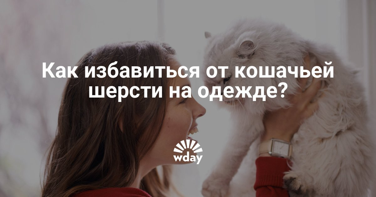 Как избавиться от шерсти кошек на одежде Как избавиться от шерсти кошек на одежде