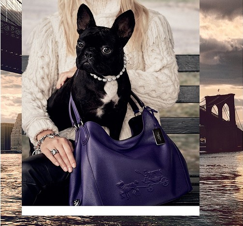 Мисс Азия Кинни в рекламной кампании Coach Мисс Азия Кинни в рекламной кампании Coach