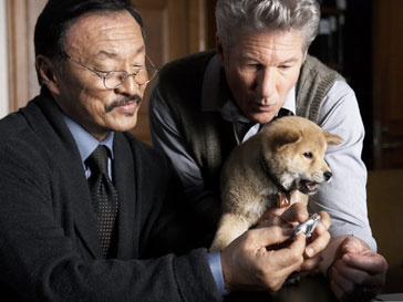 Ричард Гир (Richard Gere) сыграл в фильме о преданном псе Ричард Гир (Richard Gere) сыграл в фильме о преданном псе