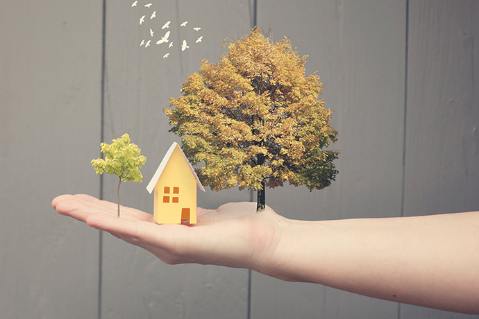  �������� ��� 