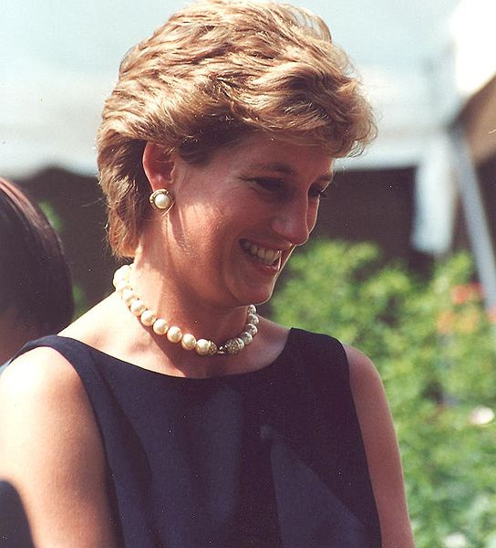 Принцесса Диана, 1995 год Принцесса Диана, 1995 год