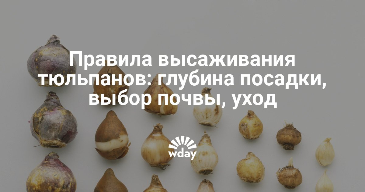 Романтические прически на средние волосы своими руками Романтические прически на средние волосы своими руками