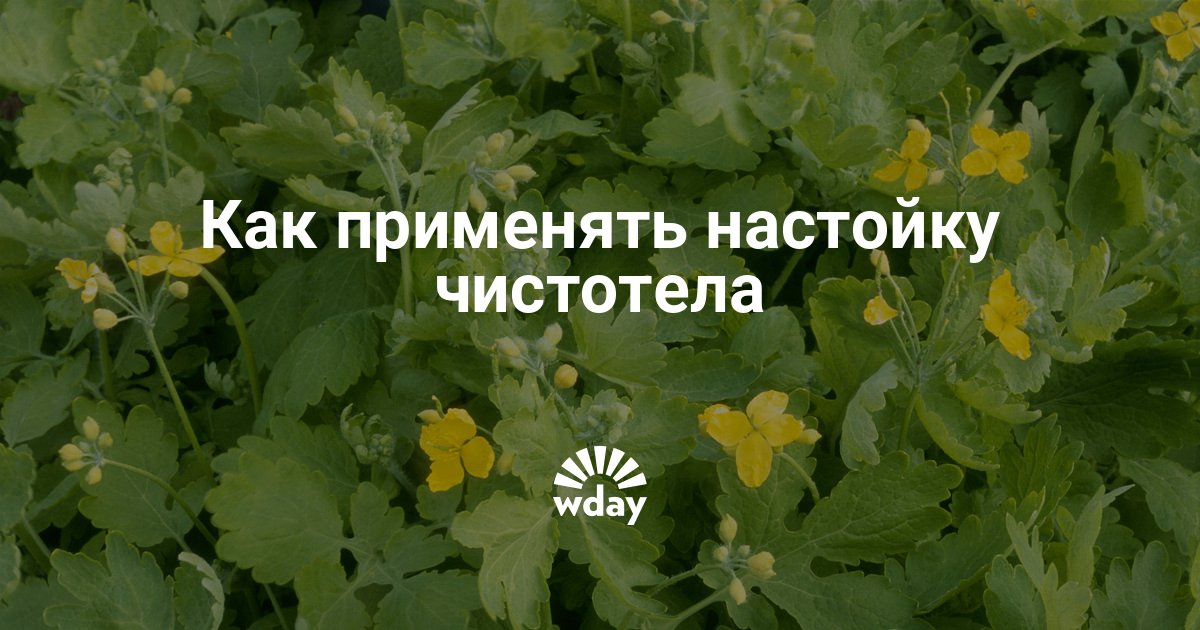 О спорт -- ты сон
