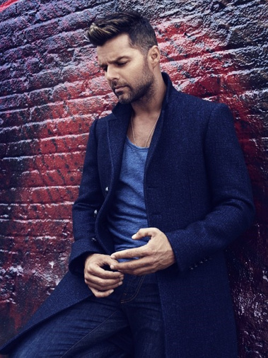 Рики Мартин и другие звезды, сделавшие каминг-аут | галерея [1] фото [3]