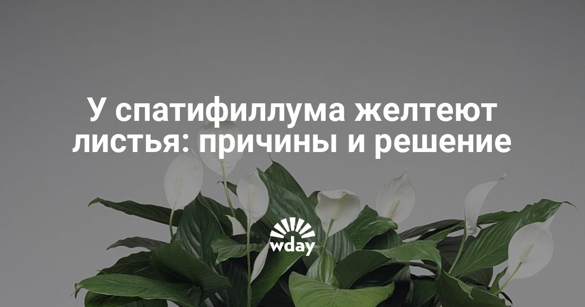 Полезные статьи » Москва - Третий Рим Поздравления с юбилеем 50 лет мужчине - Поздравок