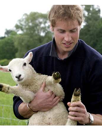 Принц Уильям (Prince William)