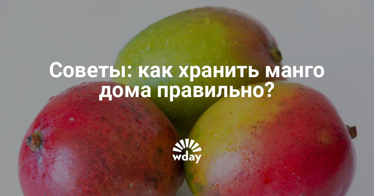 Как сделать чтобы манго дозрело в домашних Как сделать чтобы манго дозрело в домашних