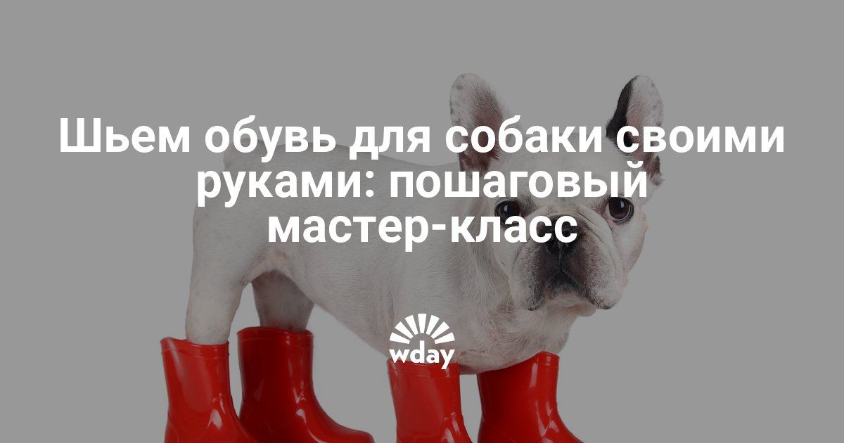 Берегите природу Непоседы Берегите природу Непоседы