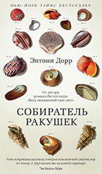 Собиратель ракушек Собиратель ракушек