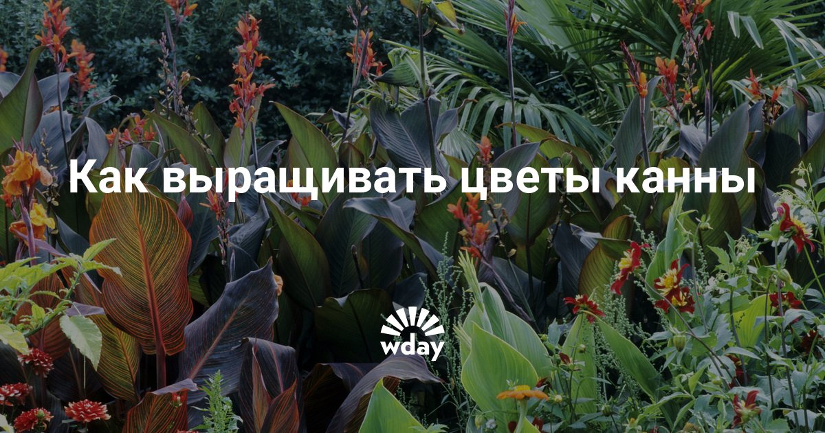 Декор для свадьбы из бумаги своими руками 98