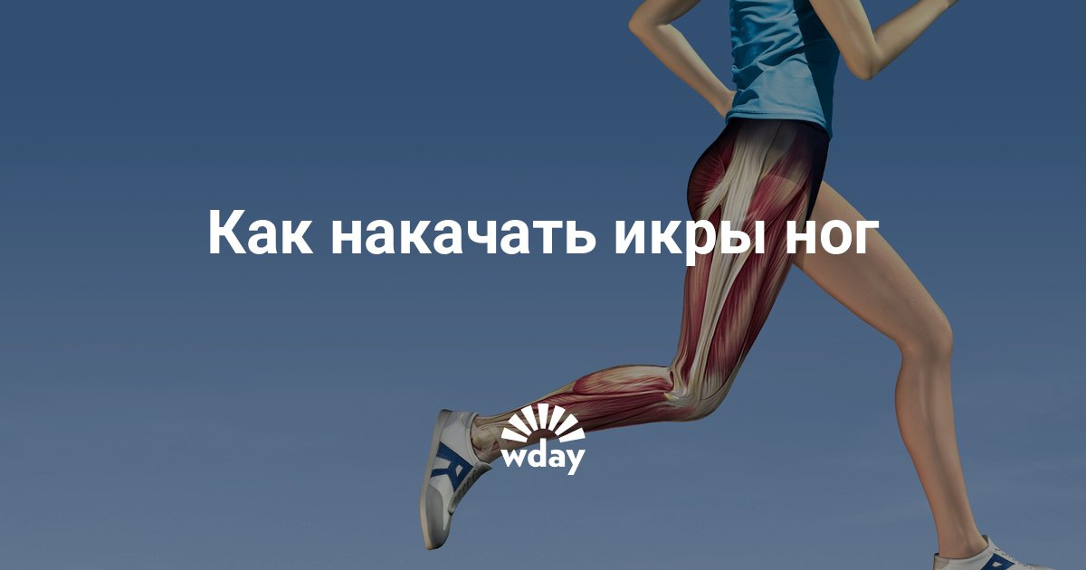 Как накачать икры ног в домашних условиях и в тренажерном зале Как накачать икры ног в домашних условиях и в тренажерном зале