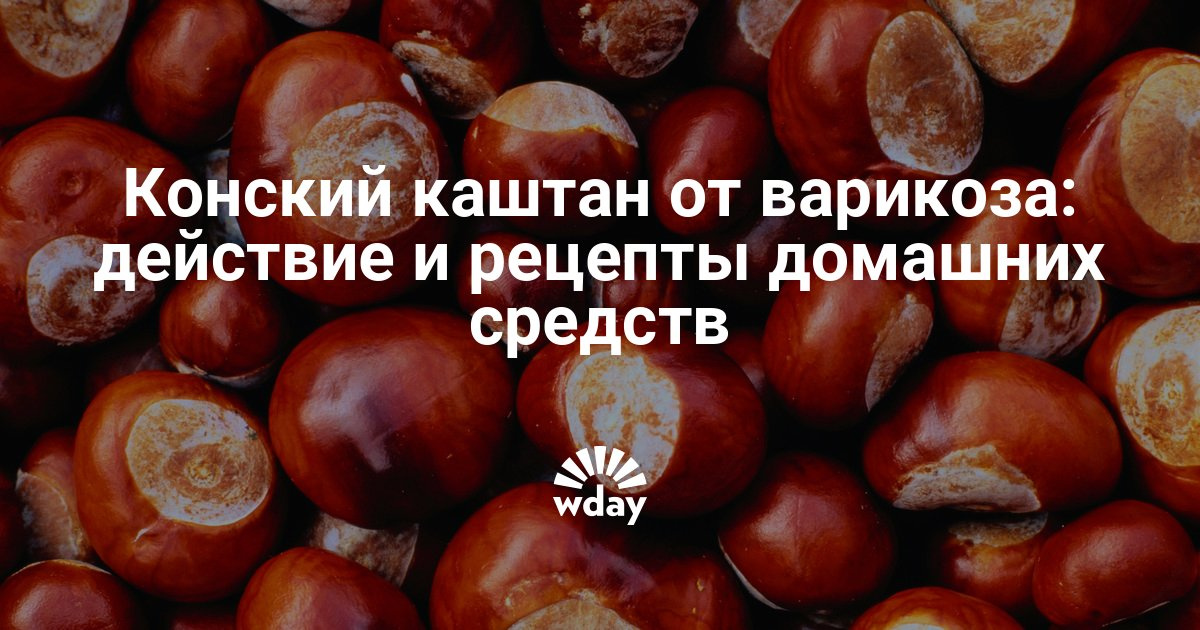 Как сделать настойку из каштан Как сделать настойку из каштан