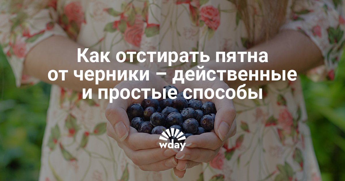 Как вывести пятно от черники с белой одежды фото