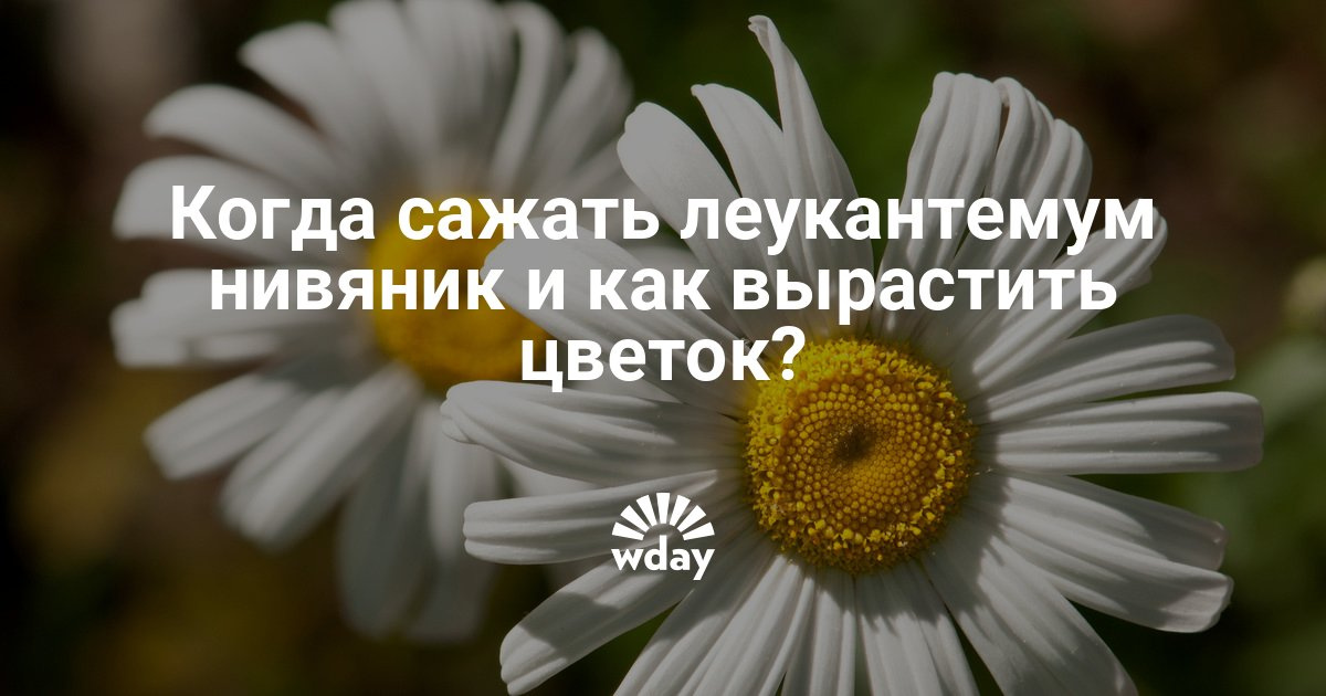 Корзина складная для грибов своими руками 27