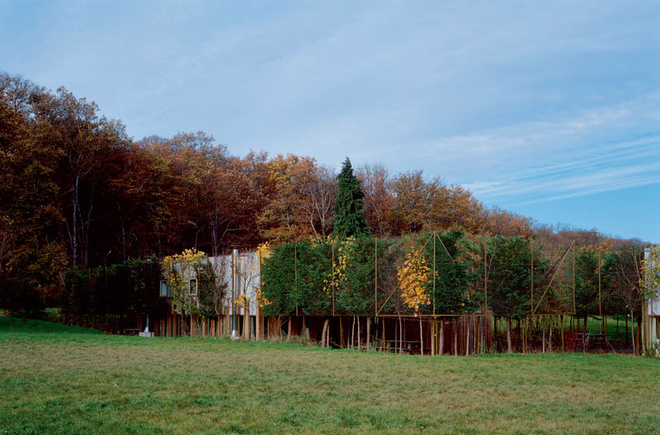 Гостиница Holiday Houses, архитекторы Эдуард Франсуа и Дункан Леви, Жюпий, 1996. Гостиница Holiday Houses, архитекторы Эдуард Франсуа и Дункан Леви, Жюпий, 1996.