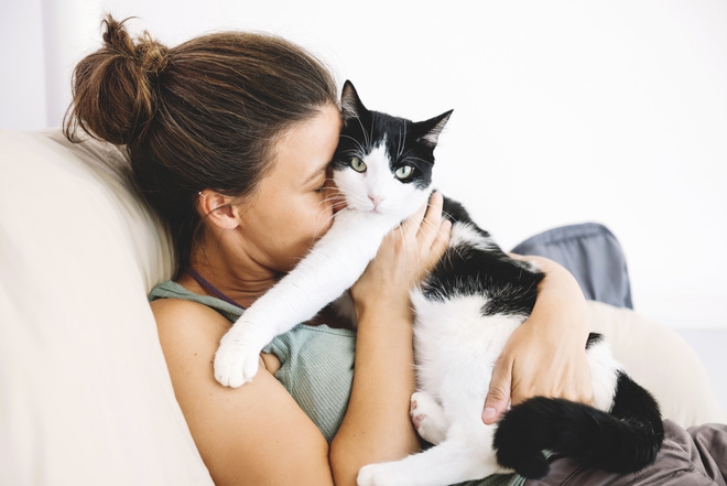 кошка сильно линяет кошка сильно линяет