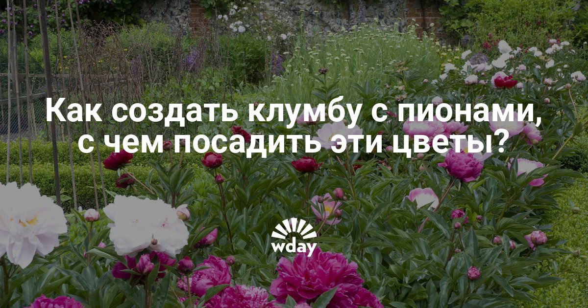 Как обратит цвета в Как обратит цвета в