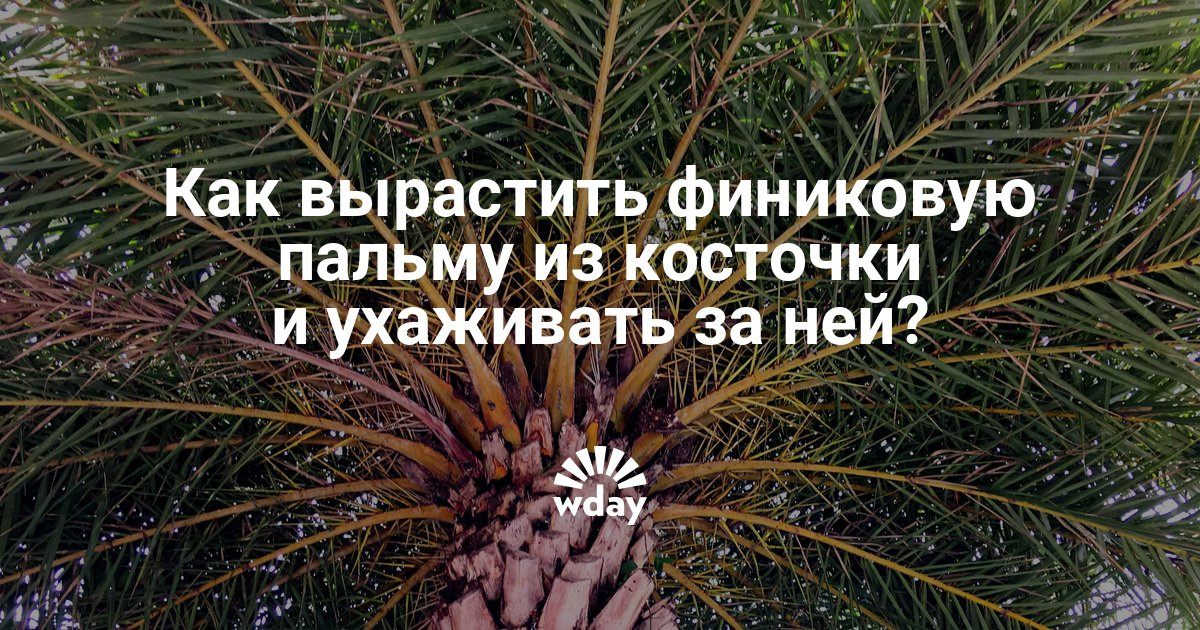 Как удалить и что это 22 Как удалить и что это 35