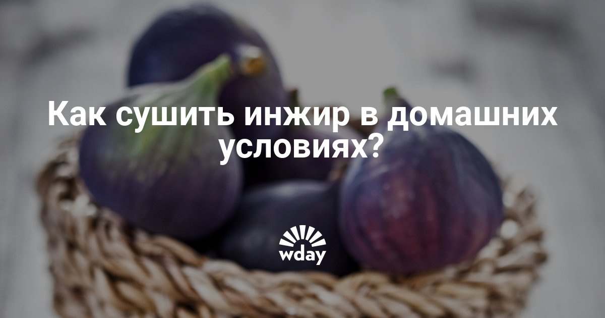 Как в домашних условиях высушить инжир в домашних условиях Как в домашних условиях высушить инжир в домашних условиях