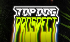    . 27   TOP DOG: Prospect 6