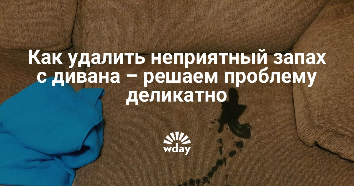 Что удаляет запах кожи Что удаляет запах кожи