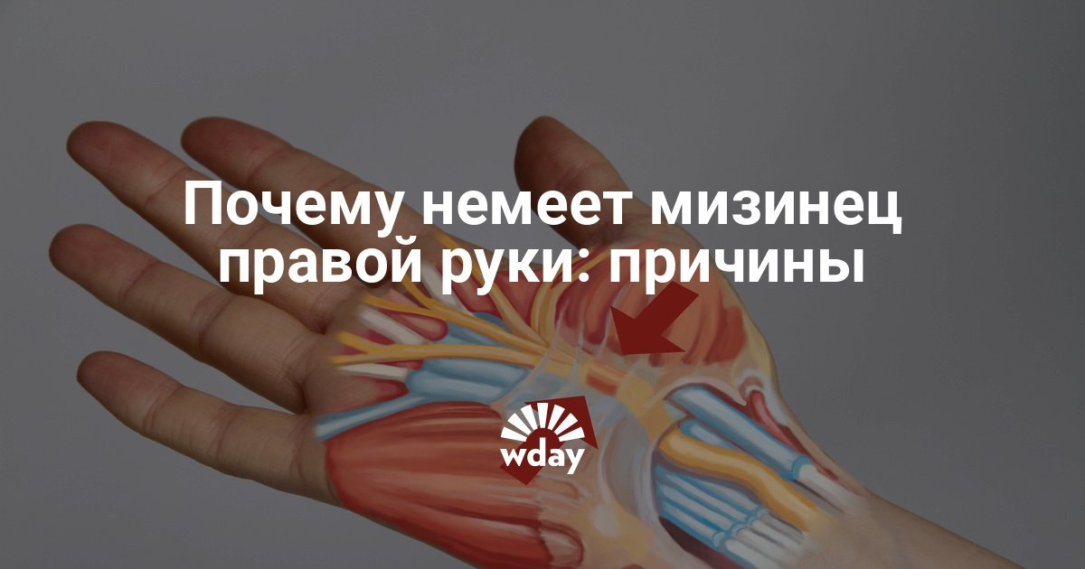Болит в спине между лопатками к какому врачу идти