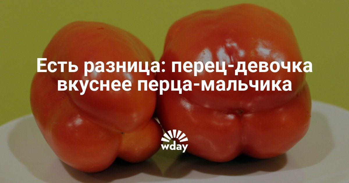 Если посадить болгарский перец Если посадить болгарский перец