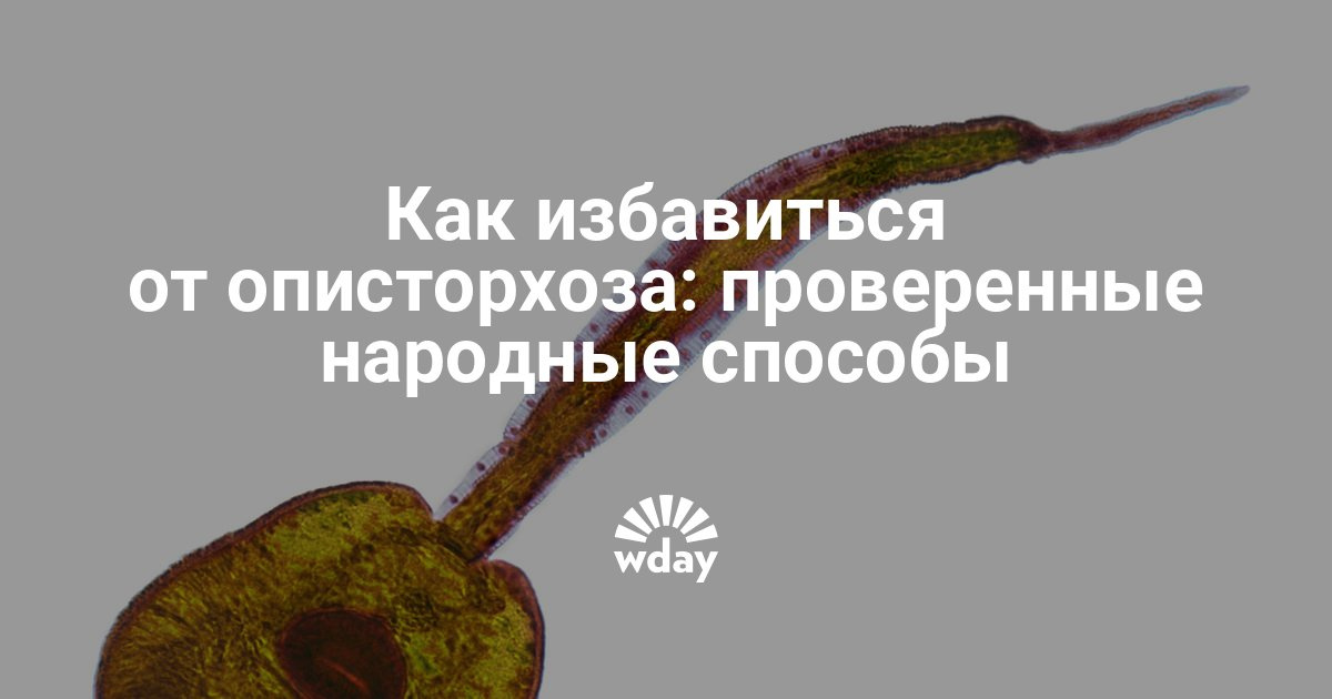Кора осины при простатите