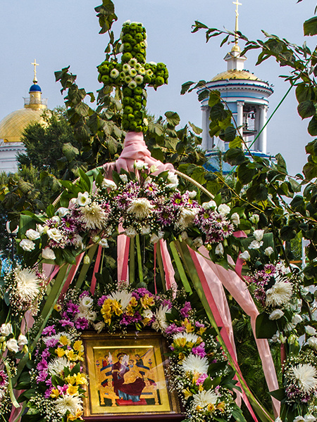 «Воронеж–Город–Сад–2015» «Воронеж–Город–Сад–2015»