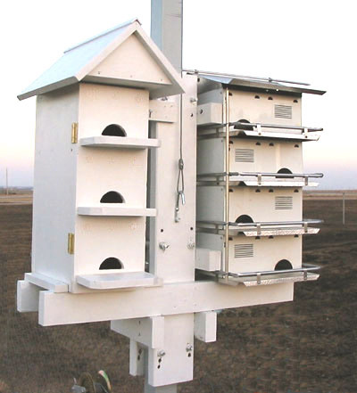«Многоквартирный» скворечник Purple Martin «Многоквартирный» скворечник Purple Martin