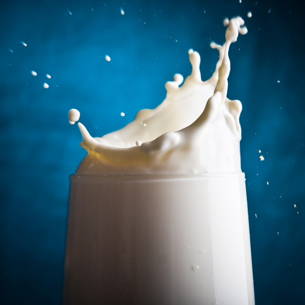 В каких продуктах много белков В каких продуктах много белков
