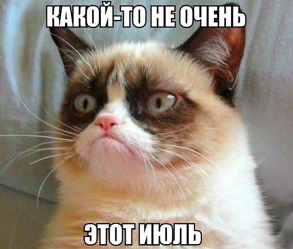 Как видят события города жители: фото волгоградцев из соцсетей Волгоград, лето, жара, асфальт, смешные картинки, ливень, гроза, отпуск, море