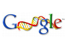 Сервисы google Сервисы google