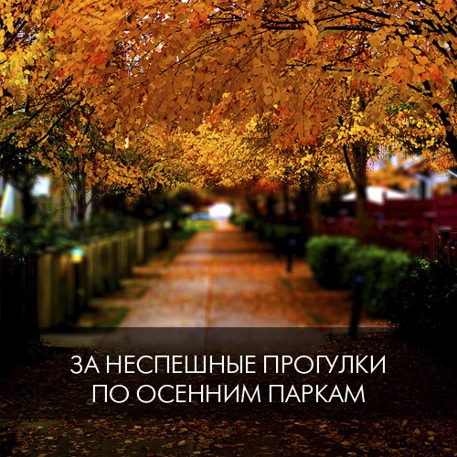 1. За неспешные прогулки по осенним паркам