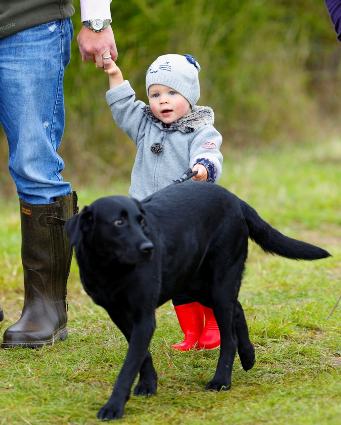 Айла Филлипс Айла Филлипс